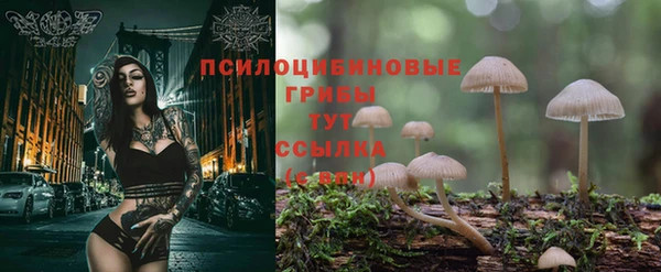 прущая мука Кулебаки