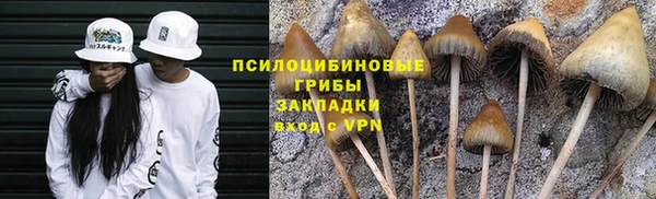 прущие крисы Касимов