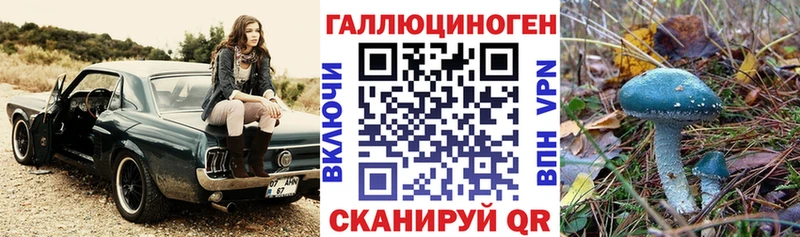 Псилоцибиновые грибы GOLDEN TEACHER  Купить закладки  Нелидово 